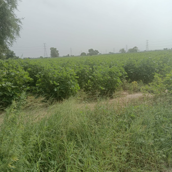 Property for sale in NH 8, Dharuhera