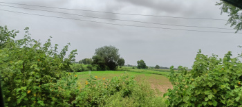 Property for sale in NH 8, Dharuhera