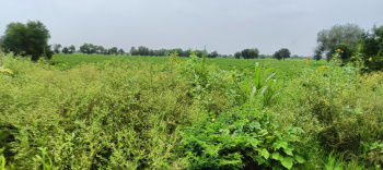 Property for sale in NH 8, Dharuhera