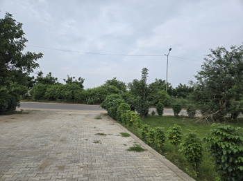 Property for sale in Dhorka, Gurgaon