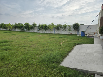 Agricultural/Farm Land for Sale in Dhorka, Gurgaon (1000 Sq. Yards)