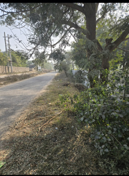 Agricultural/Farm Land for Sale in Badshahpur, Gurgaon (2.5 Acre)