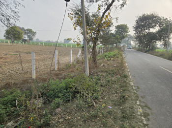 Agriculture land  in farrukh Nagar