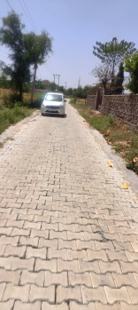 Agricultural land For Sale in Dharuhera