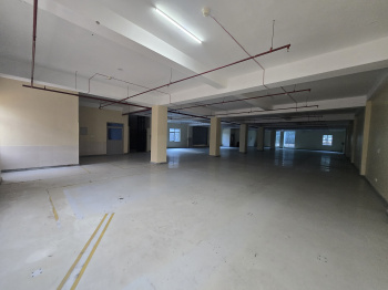 Factory / Industrial Building for Rent in Sector 5, Gurgaon (23000 Sq.ft.)