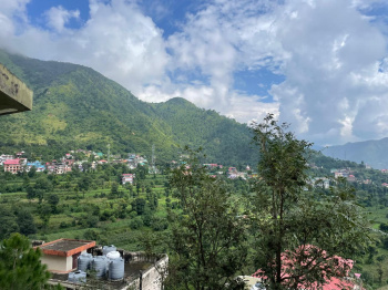 Property for sale in Basal, Solan