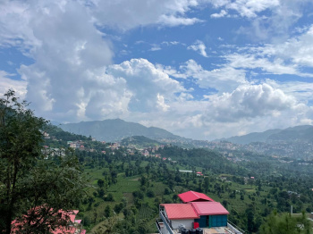 Property for sale in Basal, Solan