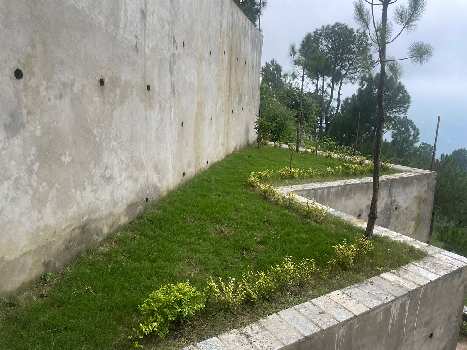 Property for sale in Basal, Solan