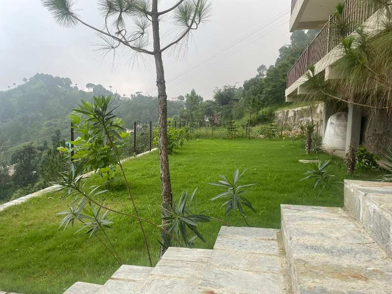 4 BHK Individual Houses / Villas for Sale in Basal, Solan (6850 Sq.ft.)