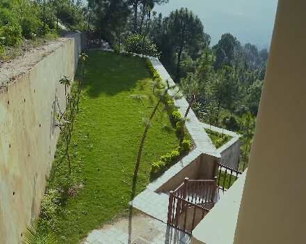 4 BHK Individual Houses / Villas for Sale in Basal, Solan (6850 Sq.ft.)