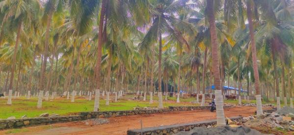22 Cent Agricultural/Farm Land for Sale in Othakalmandapam, Coimbatore