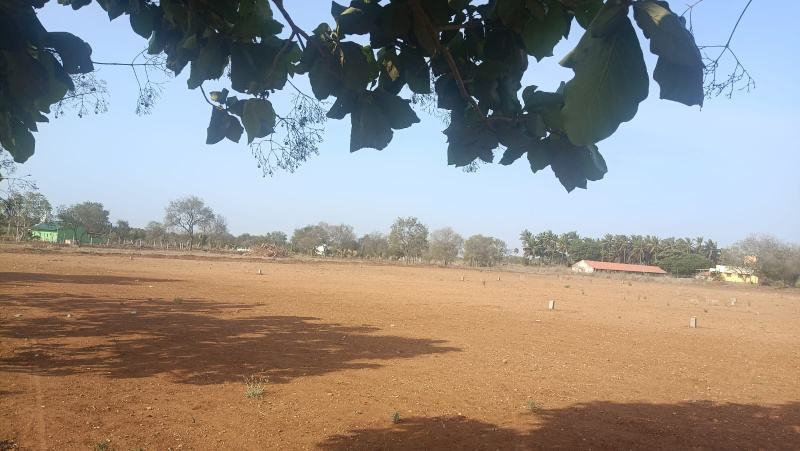 12.5 Cent Agricultural/Farm Land for Sale in Kanakkampalayam, Coimbatore
