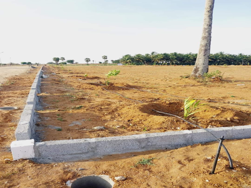 25 Cent Agricultural/Farm Land for Sale in Pollachi, Coimbatore