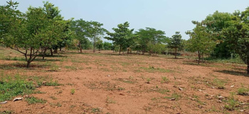 25 Cent Agricultural/Farm Land for Sale in Mettupalayam Coimbatore, Coimbatore