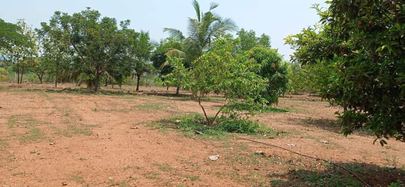 25 Cent Agricultural/Farm Land for Sale in Mettupalayam Coimbatore, Coimbatore