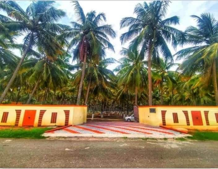25 Cent Agricultural/Farm Land for Sale in Kinathukadavu, Coimbatore