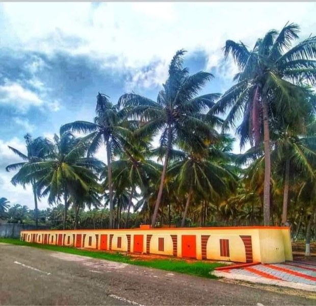 Low budget coconut farm lands Sales