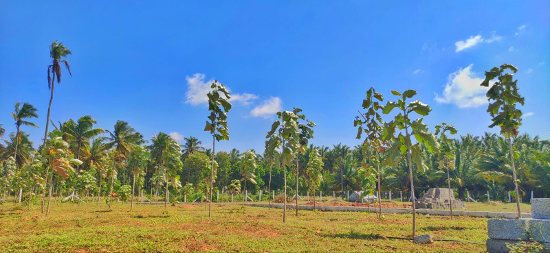 22 Cent Agricultural/Farm Land for Sale in Kinathukadavu, Coimbatore
