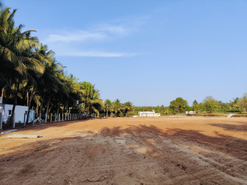 11000 Sq.ft. Agricultural/Farm Land for Sale in Kinathukadavu, Coimbatore