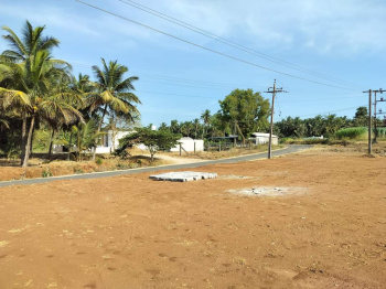 Low budget Farm lands plots sales @Kinathukadavu