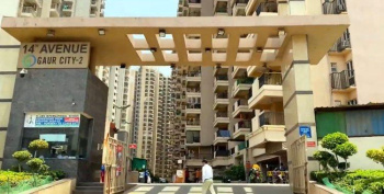 1340 Sq.ft Flat For Sale In 14th Avenue Gaur City 2 Noida Extension