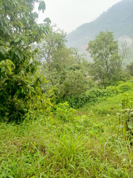 10 biga land for sale in four lines bilaspur