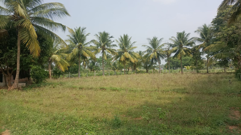 2.5 Acre Agricultural/Farm Land For Sale In Sathyamangalam, Erode