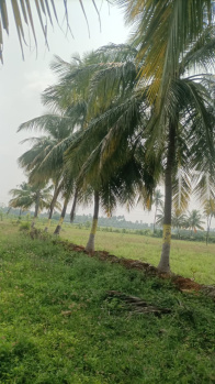 Property for sale in Sathyamangalam, Erode