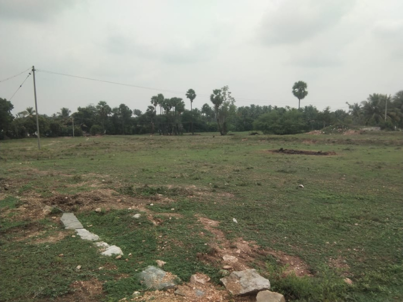 Land For Sale In Thanner Pandhal