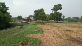Property for sale in Punjai Puliampatti, Erode