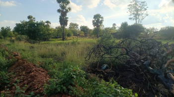 Property for sale in Nambiyur, Erode