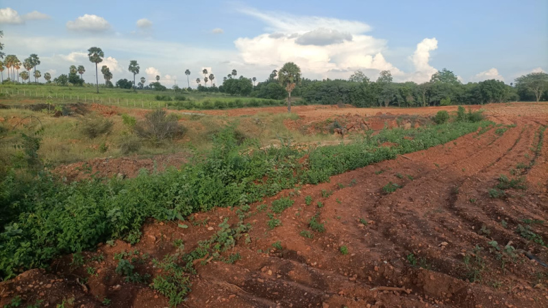 86 Cent Agricultural/Farm Land For Sale In Nambiyur, Erode