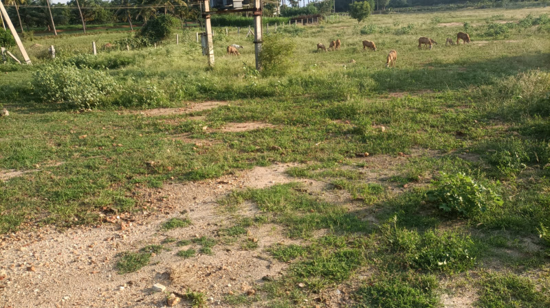 1.90 Cent Agricultural/Farm Land For Sale In Nambiyur, Erode