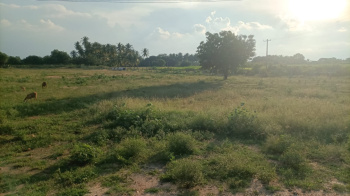 Property for sale in Nambiyur, Erode