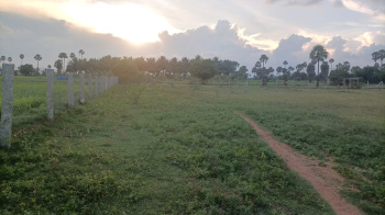 Property for sale in Kunnathur, Tirupur