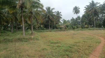 Property for sale in Vellamadai, Coimbatore