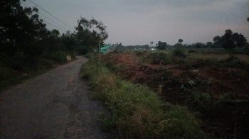 Property for sale in Punjai Puliampatti, Erode