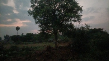 Property for sale in Punjai Puliampatti, Erode