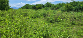 Property for sale in Peedampalli, Coimbatore
