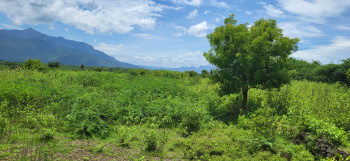 Property for sale in Peedampalli, Coimbatore