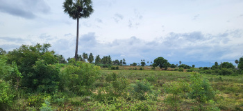 11 Acres Dry Land for Sale in Ealur with 5 HP Power, 30-Ft Road Access, Split Options Available