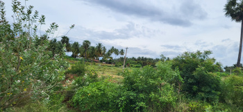 Property for sale in Gobichettipalayam, Erode
