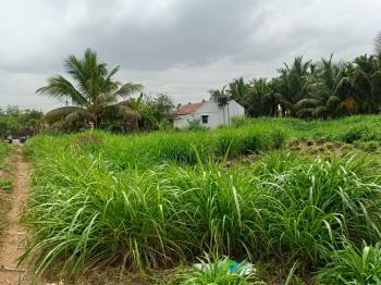 Property for sale in Sathyamangalam, Erode