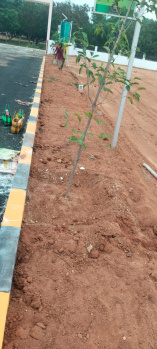 Property for sale in Nagamangalam, Tiruchirappalli