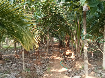 Property for sale in Trichy Highways, Tiruchirappalli