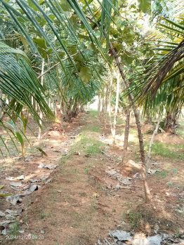 Property for sale in Trichy Highways, Tiruchirappalli