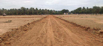 Residential Plot for Sale in Suriyur, Tiruchirappalli (1200 Sq.ft.)