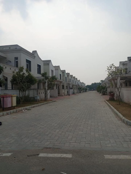 Residential Plot for Sale in Thikariya, Jaipur (100 Sq. Yards)