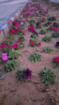 Property for sale in Ajmer Road, Jaipur