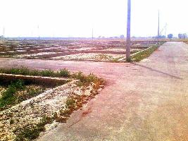 Industrial land For sale at kadi Gujarat